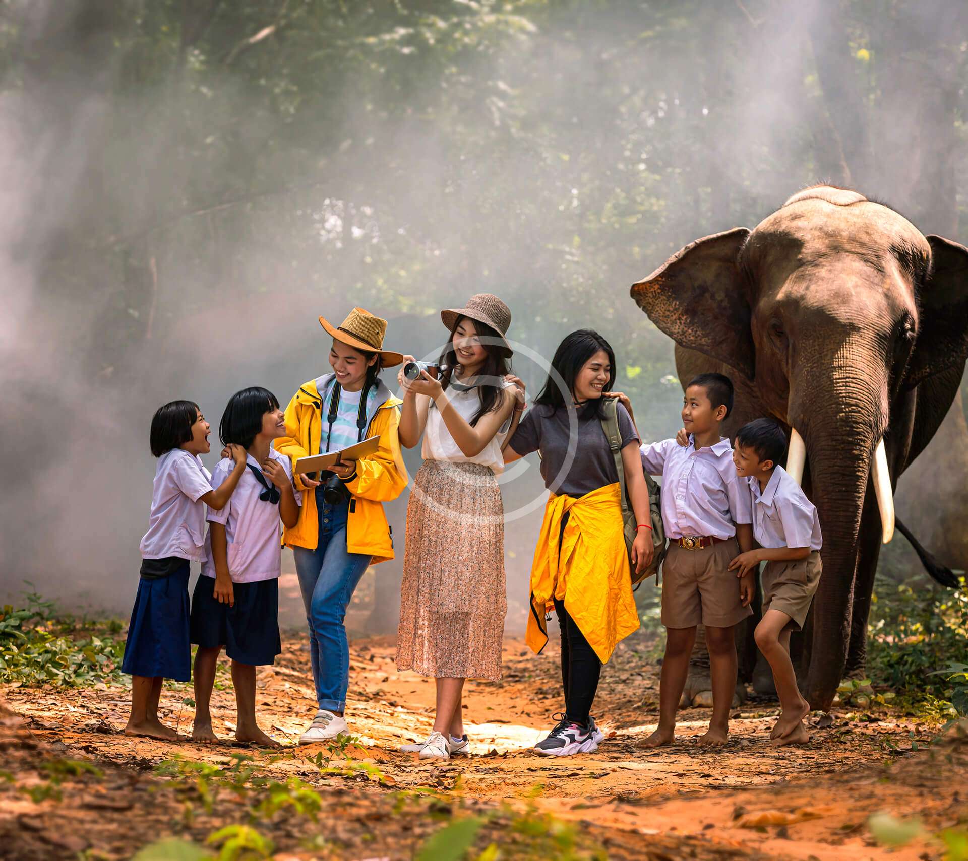 Elephant Rides