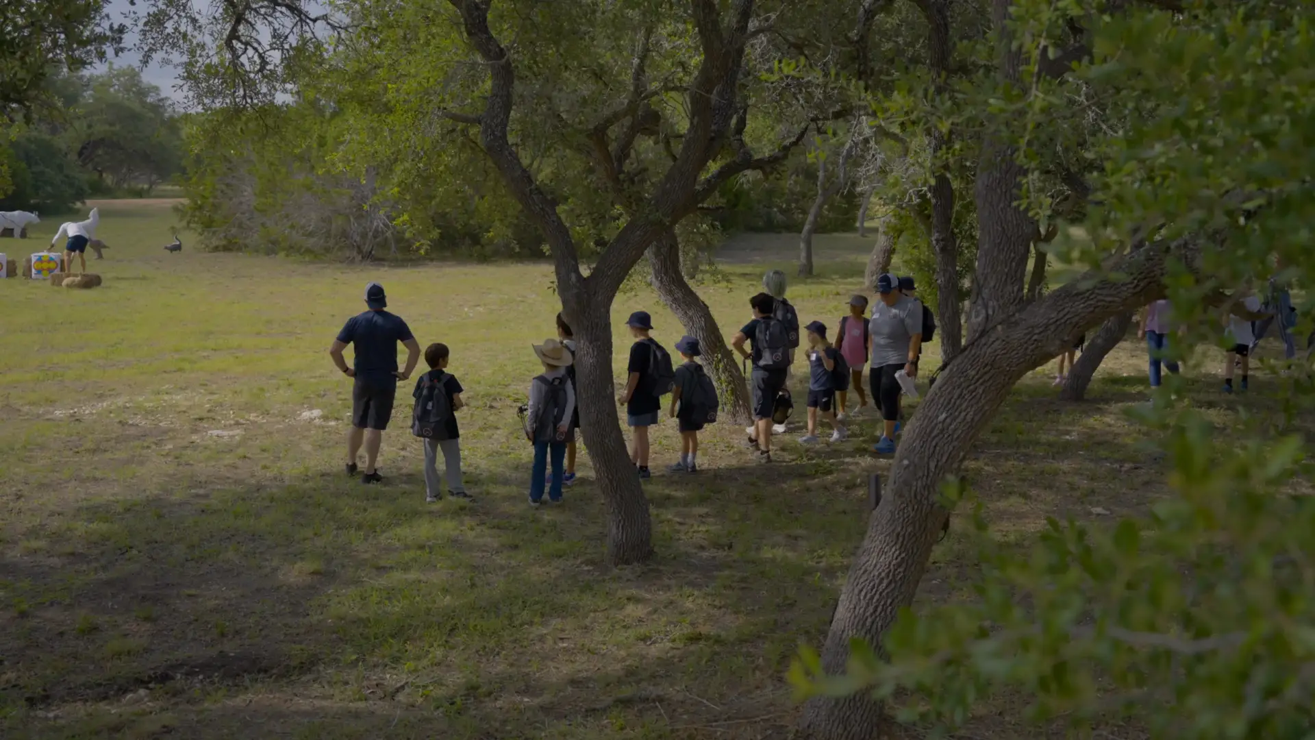 Resilience in the Wild